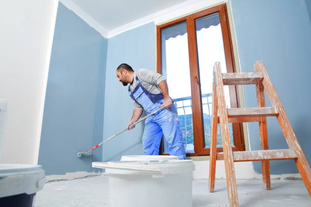 Best Black Mold Removal  in Window Rock, AZ