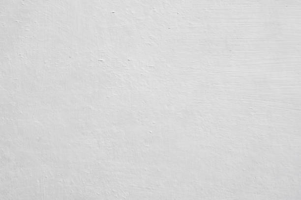 Window Rock, AZ Mold Removal Company
