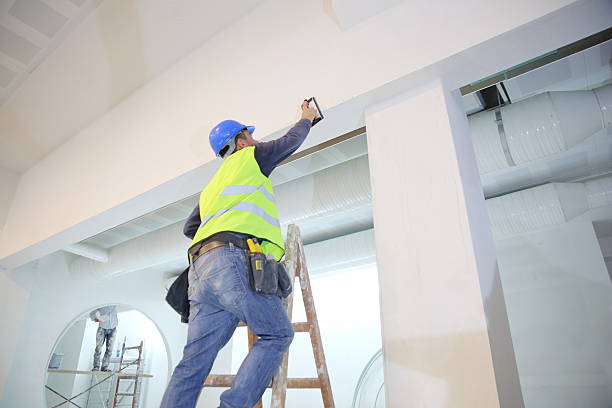 Best Mold Damage Restoration  in Window Rock, AZ